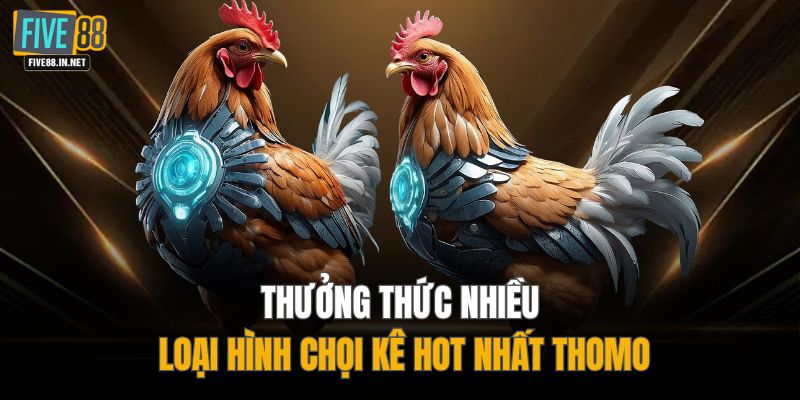 Thưởng thức nhiều loại hình chọi kê hot nhất Thomo